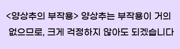  <양상추의 부작용> 양상추는 부작용이 거의 없으므로, 크게 걱정하지 않아도 되겠습니다
