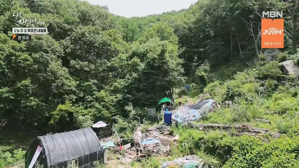 나는 자연인이다.E562.230712p.H264-F1RST.mp4_20230713_204730.043.jpg