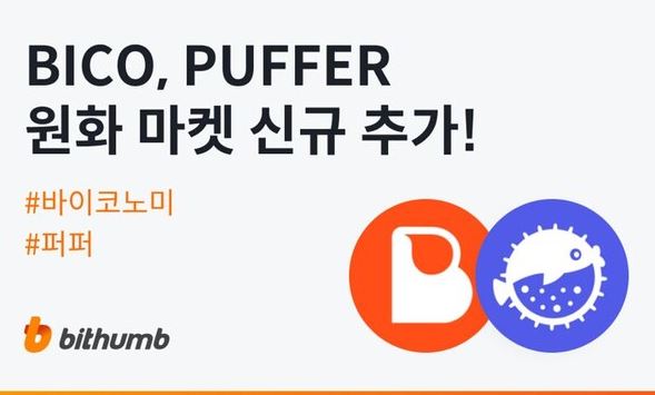 퍼퍼 이미지