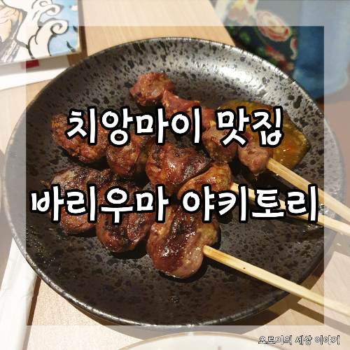  치앙마이 바리우마 야키토리 꼬치집 Chiangmai Bari Uma Yakitori