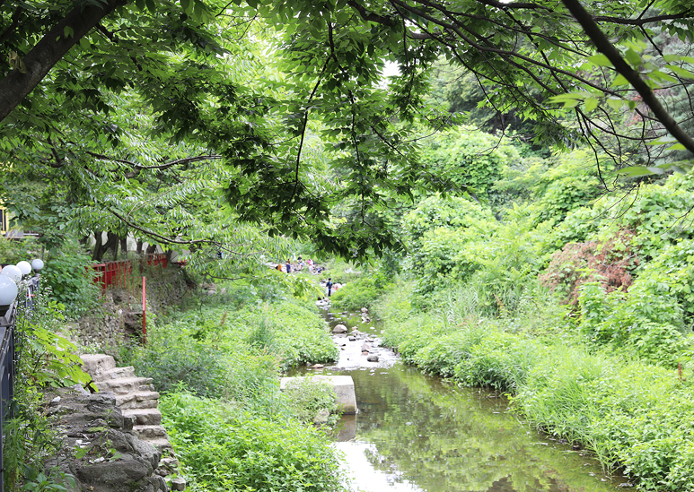478 용인 고기리 계곡 카페