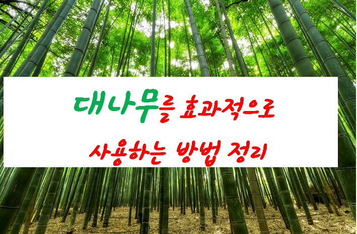  대나무를 효과적으로 사용할 수 있는 5가지 방법 정리