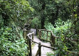  도이인타논 국립공원 (Doi Inthanon) 다양한 사진들