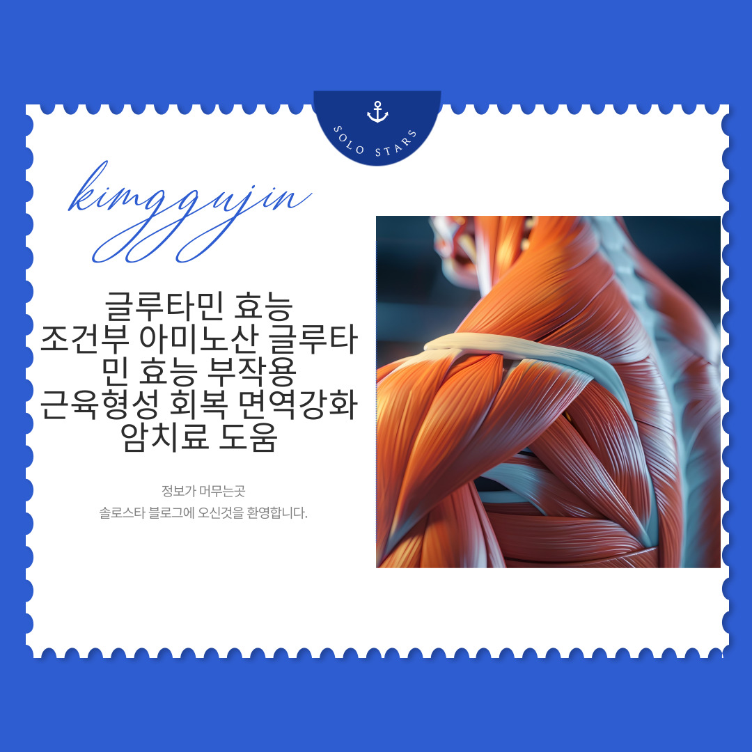 글루타민 근육 관련 사진