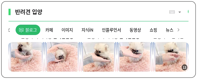 반려견 입양_1_subsection