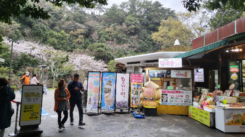 천지연폭포
