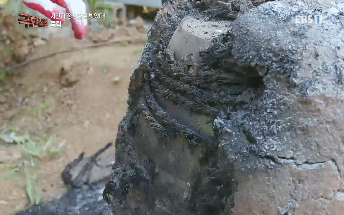 TV - 교육의 중심 EBS시간과 정성으로 빚었다! 유황오리 엿, 죽력, 도라지정과.mp4_20220521_185534.246.jpg