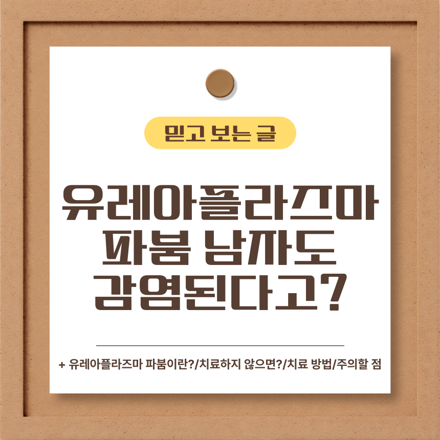  유레아플라즈마 파붐 남자도 감염된다고?