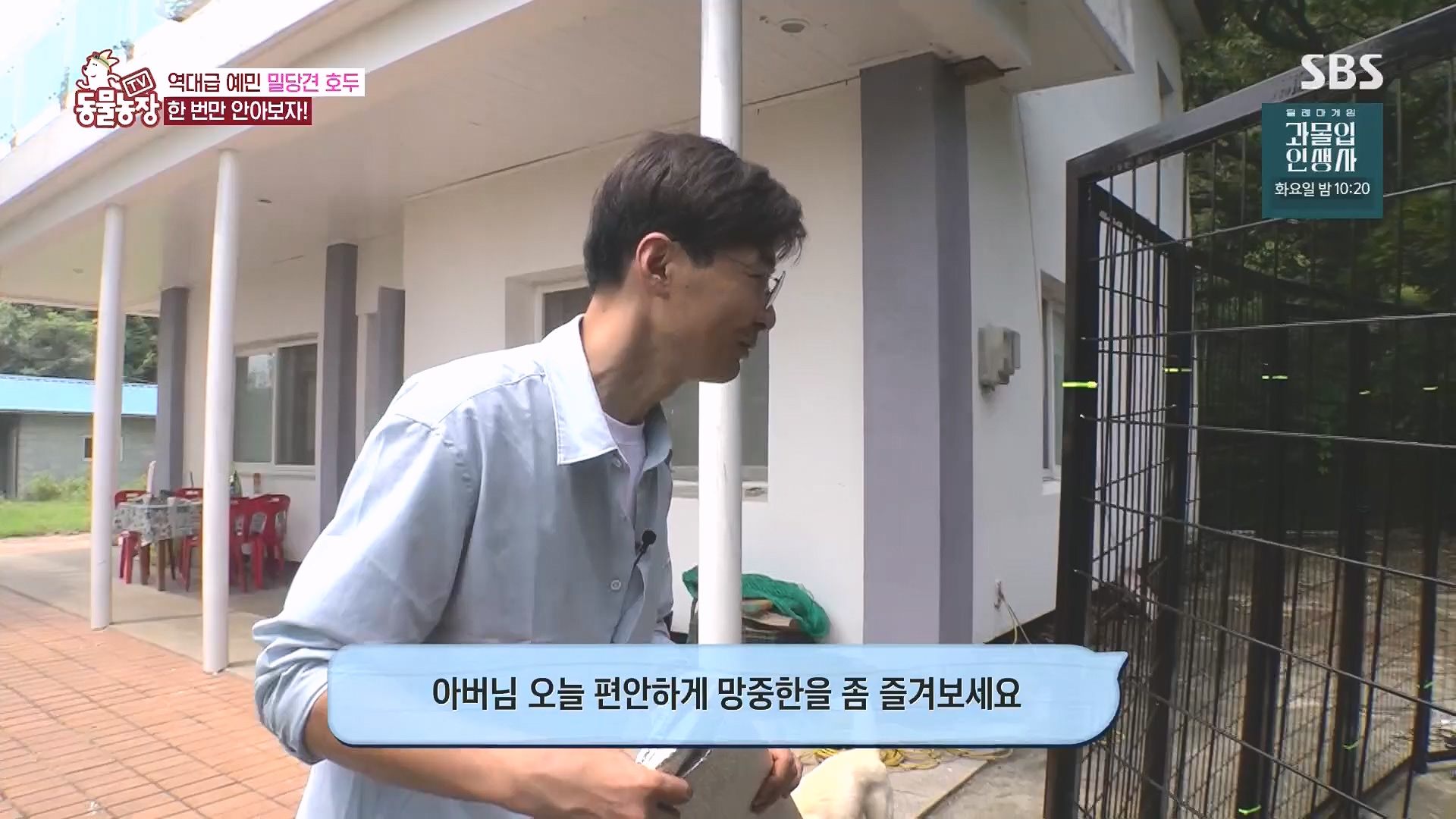 TV 동물농장.E1136.230903p.H264-F1RST.mp4_20230903_180349.253.jpg