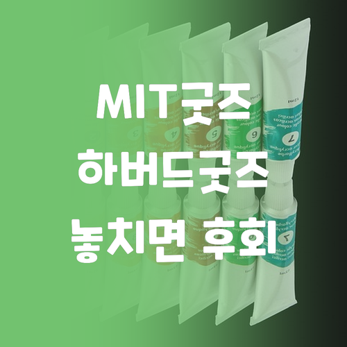 매사추세츠 공대, 하버드 대학교 관련