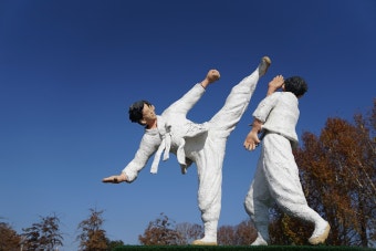 충주 세계무술축제
