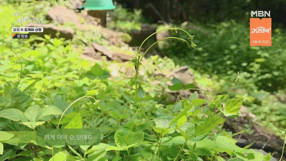 나는 자연인이다.E563.230719p.H264-F1RST.mp4_20230720_214639.705.jpg