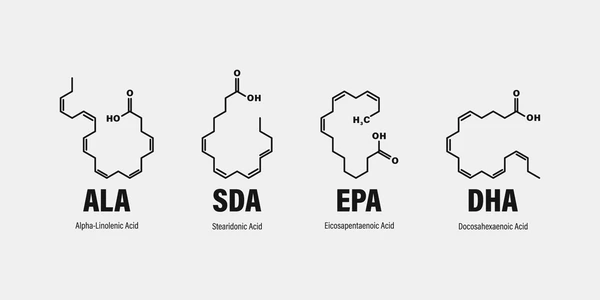  EPA (EICOSAPENTAENOIC ACID) 효능과 우리몸에 이로운점!!!