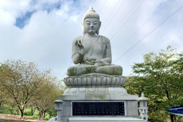 img.jpg