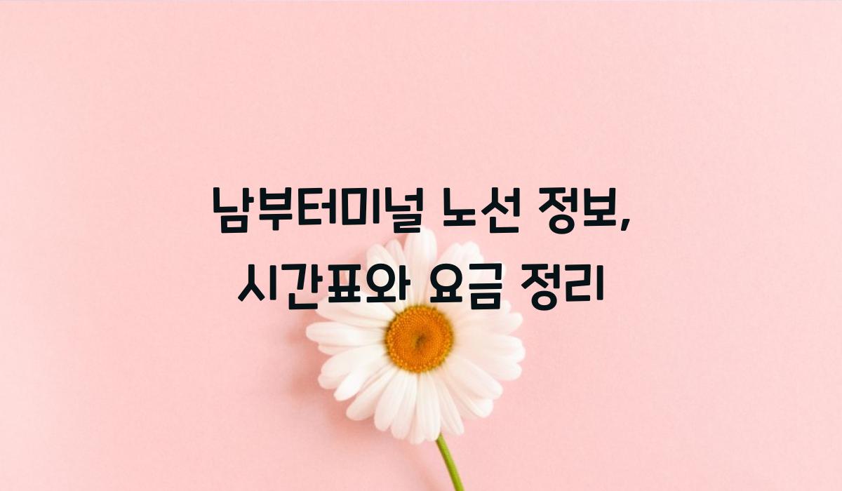 남부터미널 노선 정보