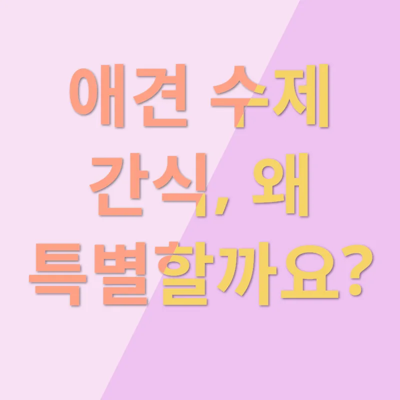 애견간식 창업_1