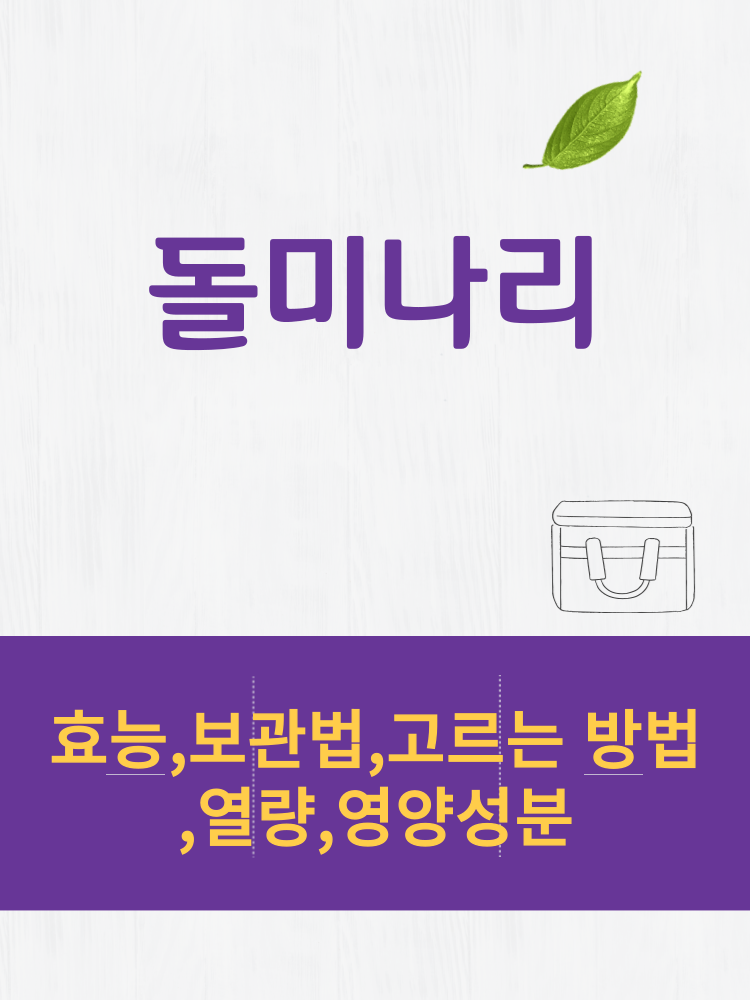  돌미나리 효능 및 열량과 보관법 칼로리 총정리 