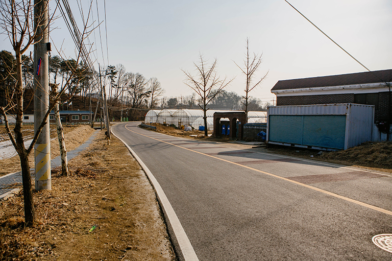 파주시 문산읍 사목리. 조용한 시골 마을. 왕복 2차선 도로가 뻗어 있다.