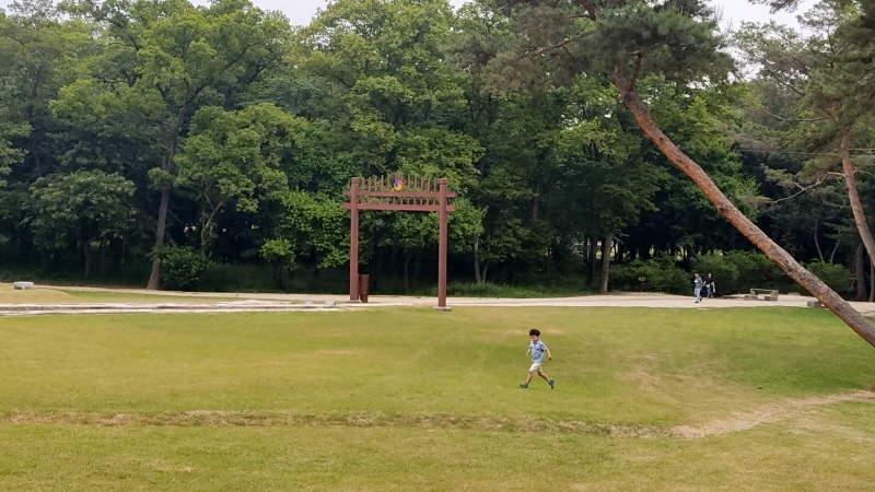 서삼릉의 잔디밭