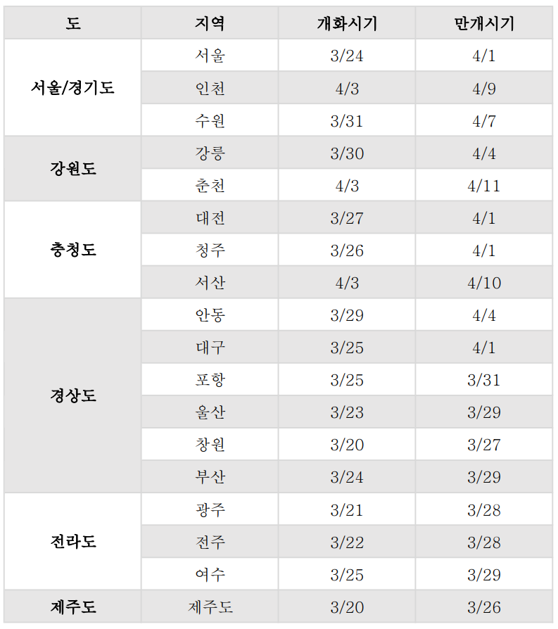 2024 벚꽃 개화시기