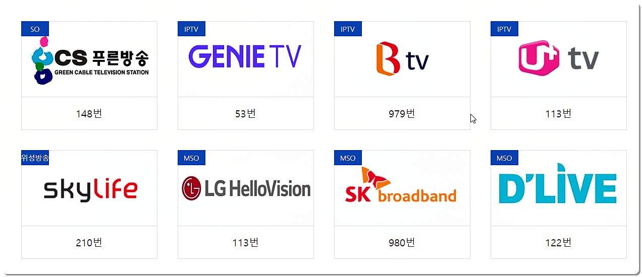 IB스포츠 채널번호