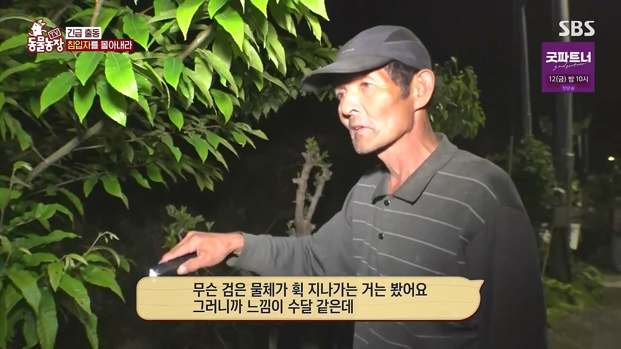 TV 동물농장.E1178.240630.ts_20240630_164648.427.jpg