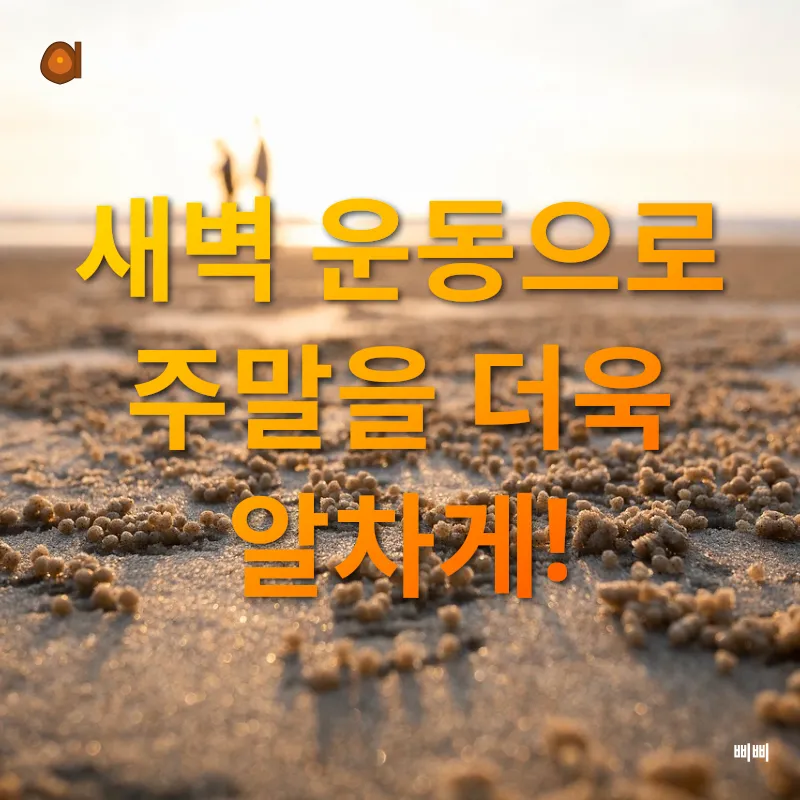 주말 시간 활용법_2