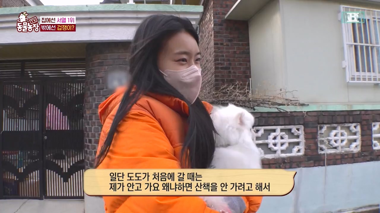 TV 동물농장.E1155.240122p-NEXT.mp4_20240121_145941.396.jpg