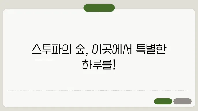 관람시간 전시 스투파의 숲 휴무일 주쳄 서울 실내 데이트 추천