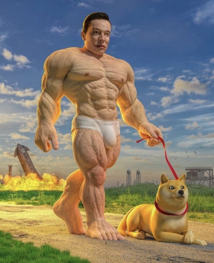  일론 머스크 도지코인