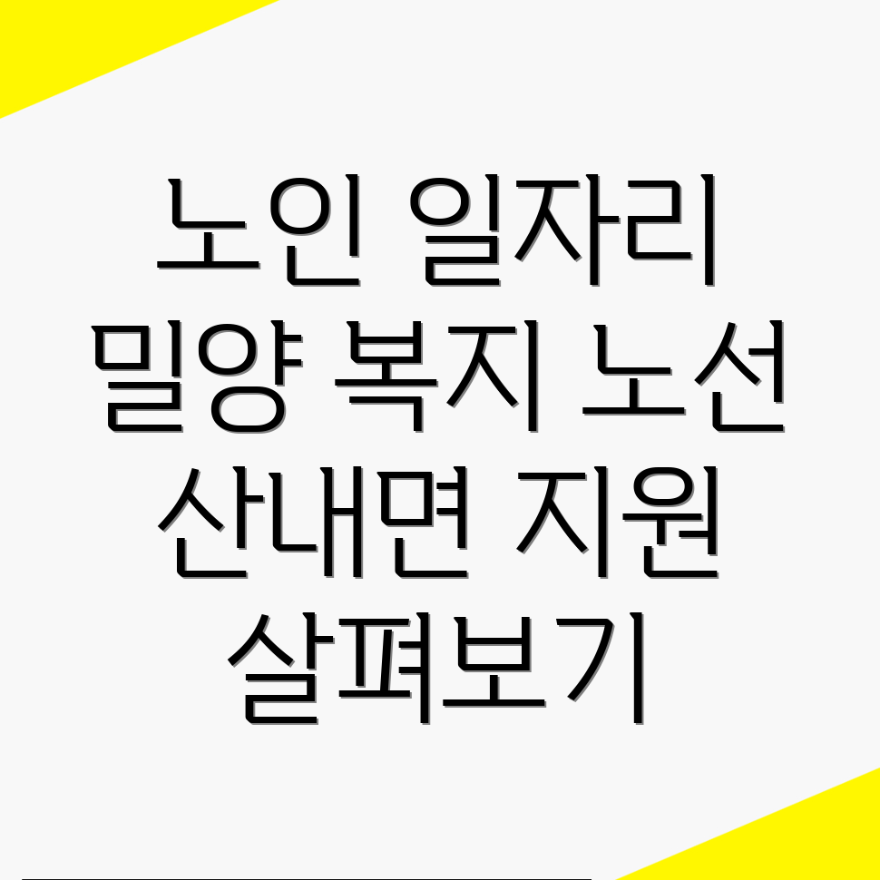 노인 일자리