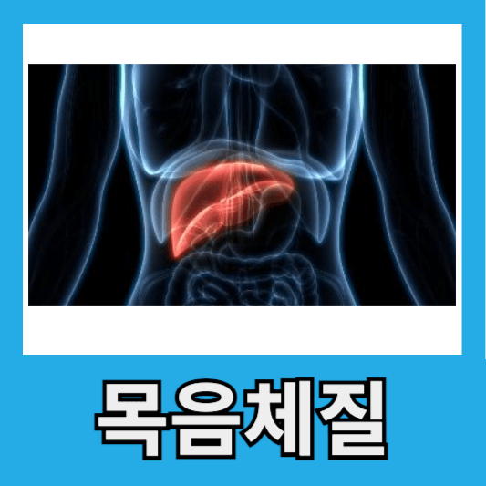 목음체질