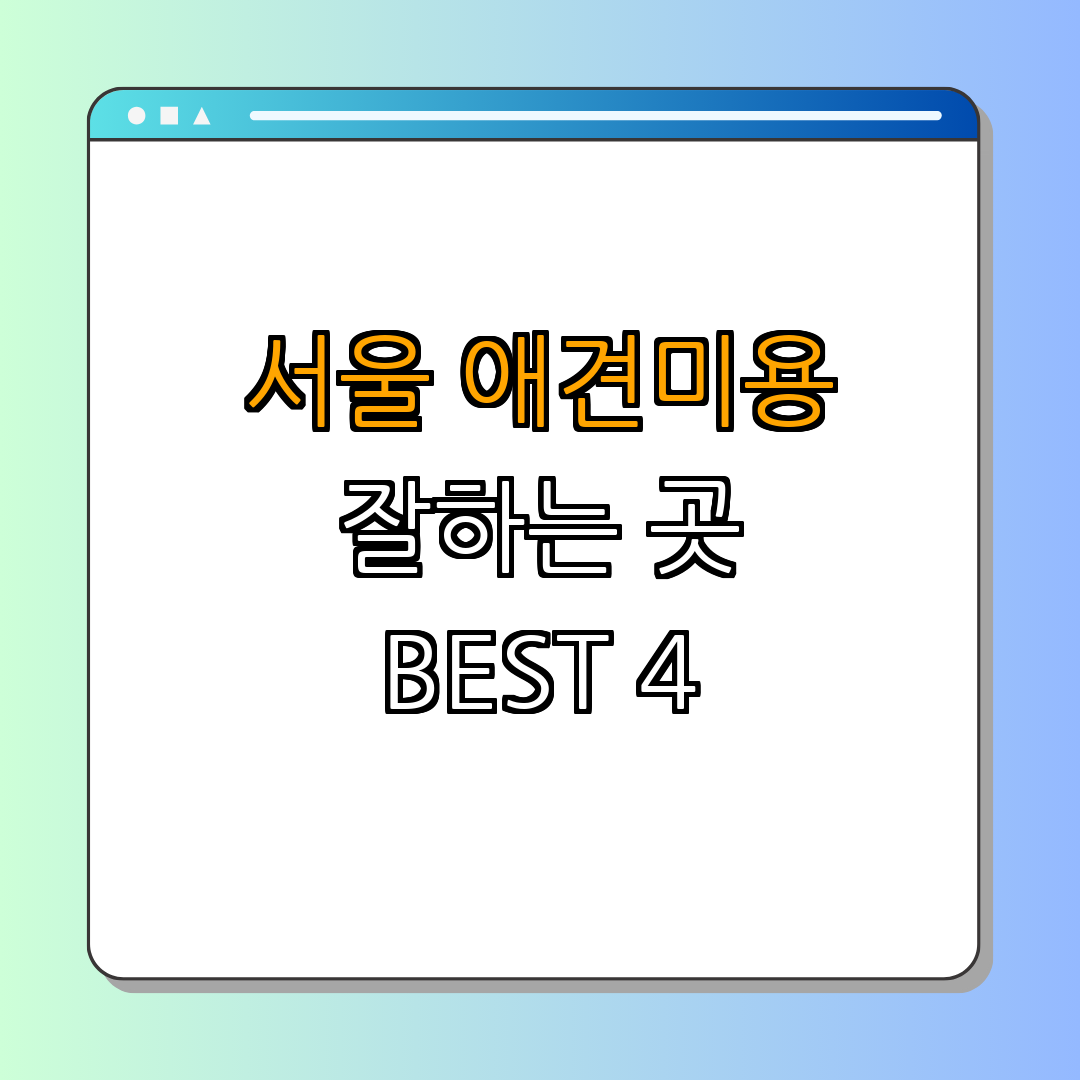 서울 중구 애견미용 잘하는 곳 BEST4 ｜ 애견 미용샵 추천 ｜ 저렴한 가격 비교 ｜ 포메 목욕 서비스 제공 ｜ 다양한 서비스 무료 제안 ｜ 전문 미용사 후기 총정리