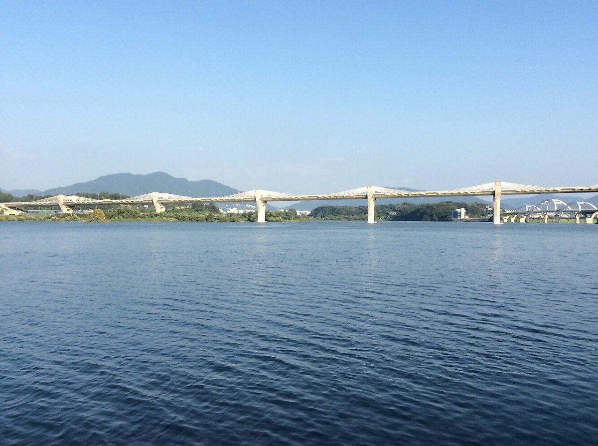  충주 탄금대&먹거리