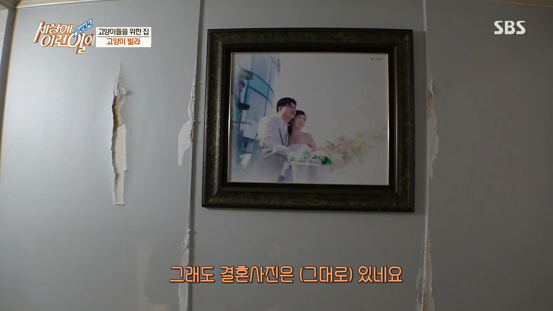 순간포착 세상에 이런일이.E1206.221115p.H264-F1RST.mp4_20221118_195824.415.jpg