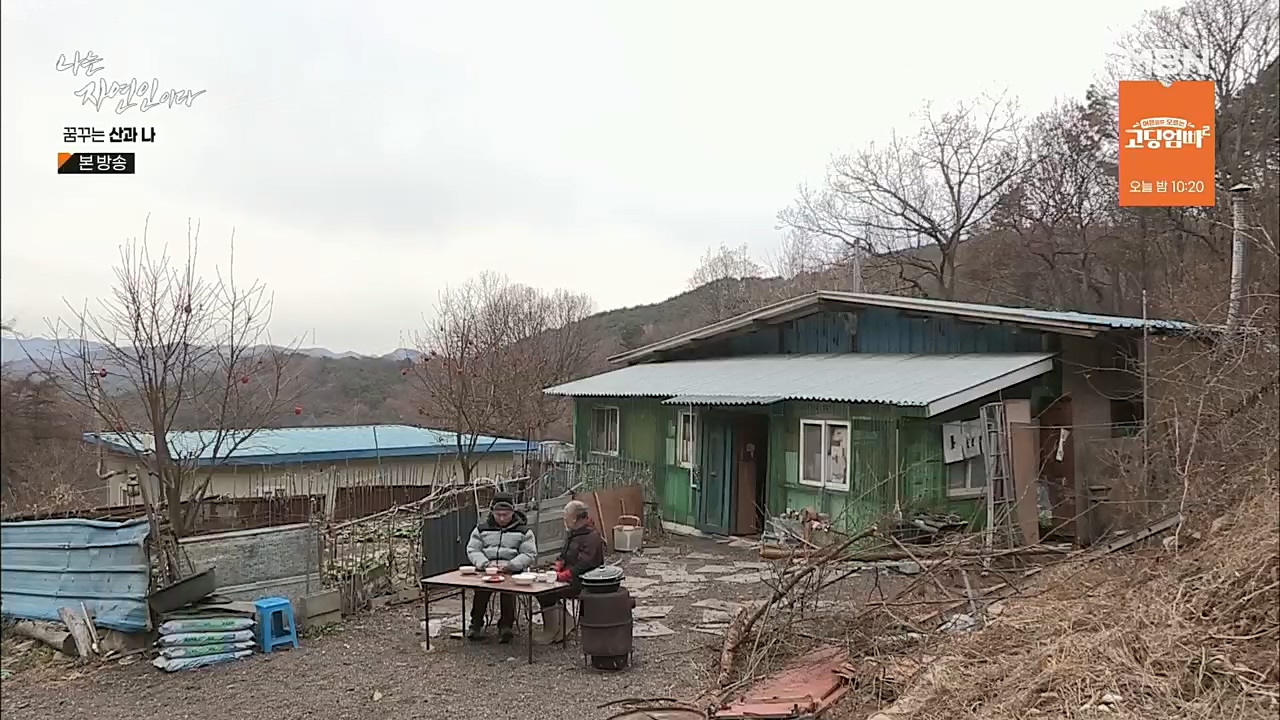 나는 자연인이다.E534.221229p.H264-F1RST.mp4_20221229_200031.879.jpg