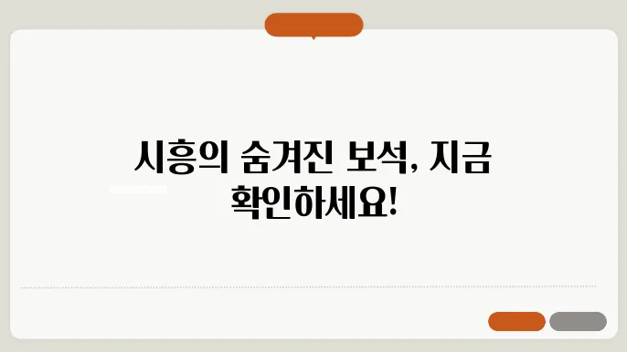 시흥 가볼만한 곳 배곧신도시 (시흥주변 여행지)