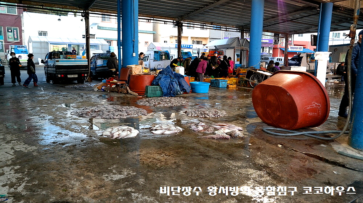 고성 대진항 수산시장 먹거리 맛집! 1