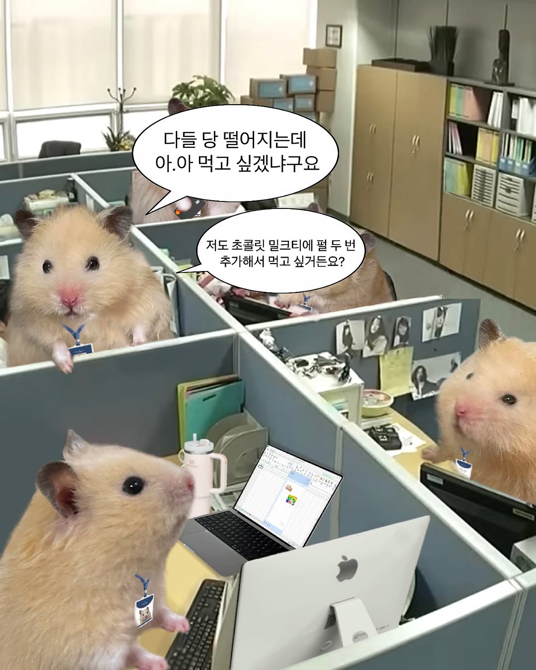 다들 당 떨어지는데 아.아 먹고 싶겠냐구요 
저도 초콜릿 밀크티에 펄 두 번 추가해서 먹고 싶거든요?