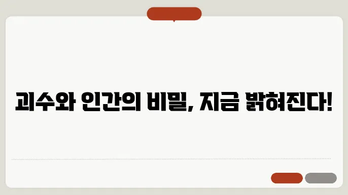 괴수8호2기