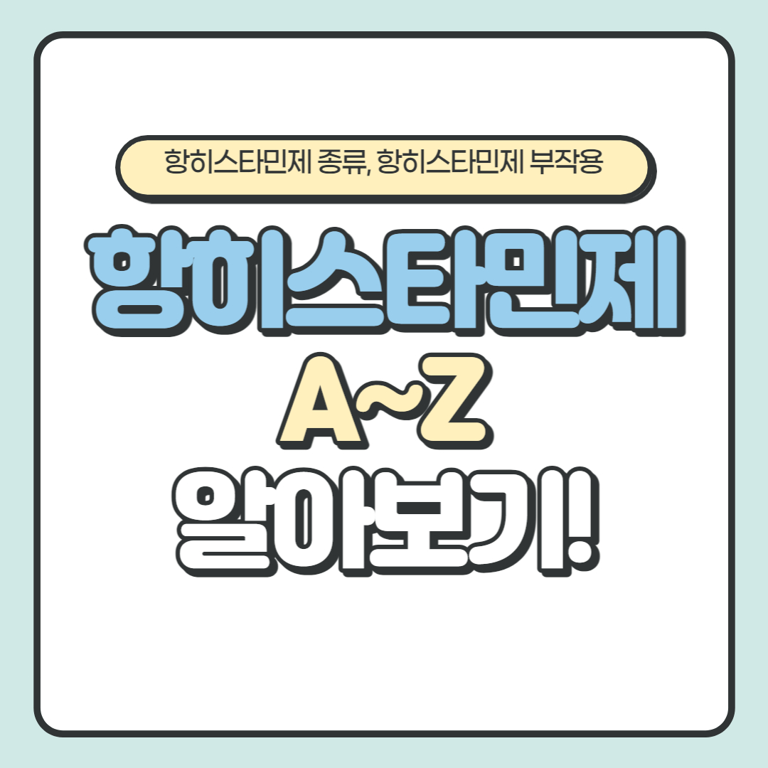  항히스타민제 종류 효능 부작용 복용법 주의사항 알아보기