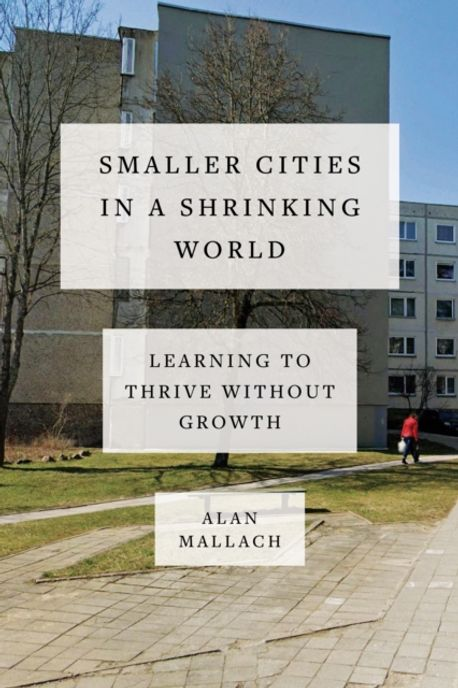 Smaller Cities in a Shrinking World 책 표지