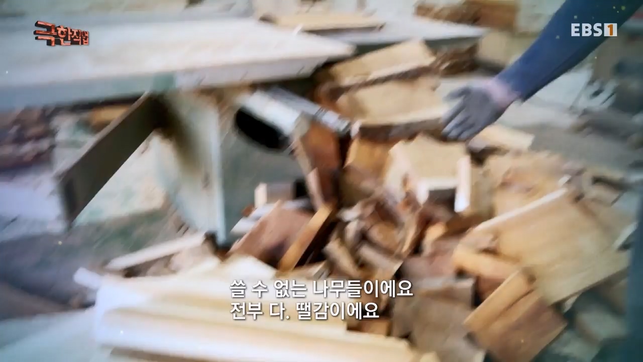 TV - 전 국민의 평생학교 EBS주방속 명품 조연!.mp4_20240312_202407.408.jpg