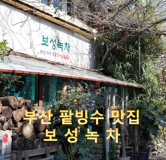  부산 팥빙수 카페 맛집 - 팥빙수가 3000원??? / 남천동 보성녹차