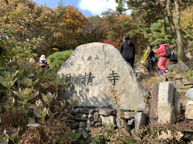 오서산 최단코스 [BAC 100대명산 / 보령 오서산 최단코스] 오서산자연휴양림 ~ 월정사 35