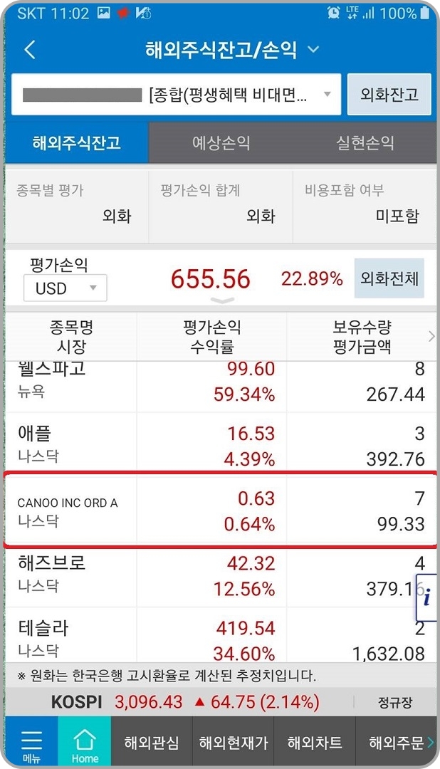 카누-종목-주가