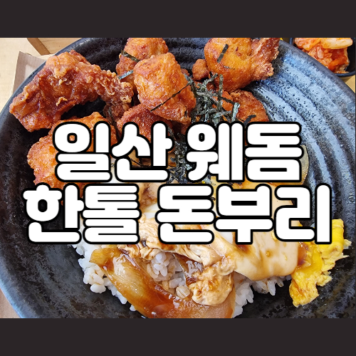  일산 웨스턴돔 한톨 돈부리 재방문인데 그저 그래
