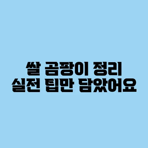 쌀 곰팡이 정리 실전 팁만 담았어요
