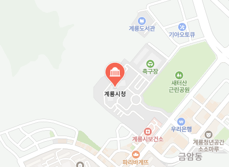 계룡시청 위치