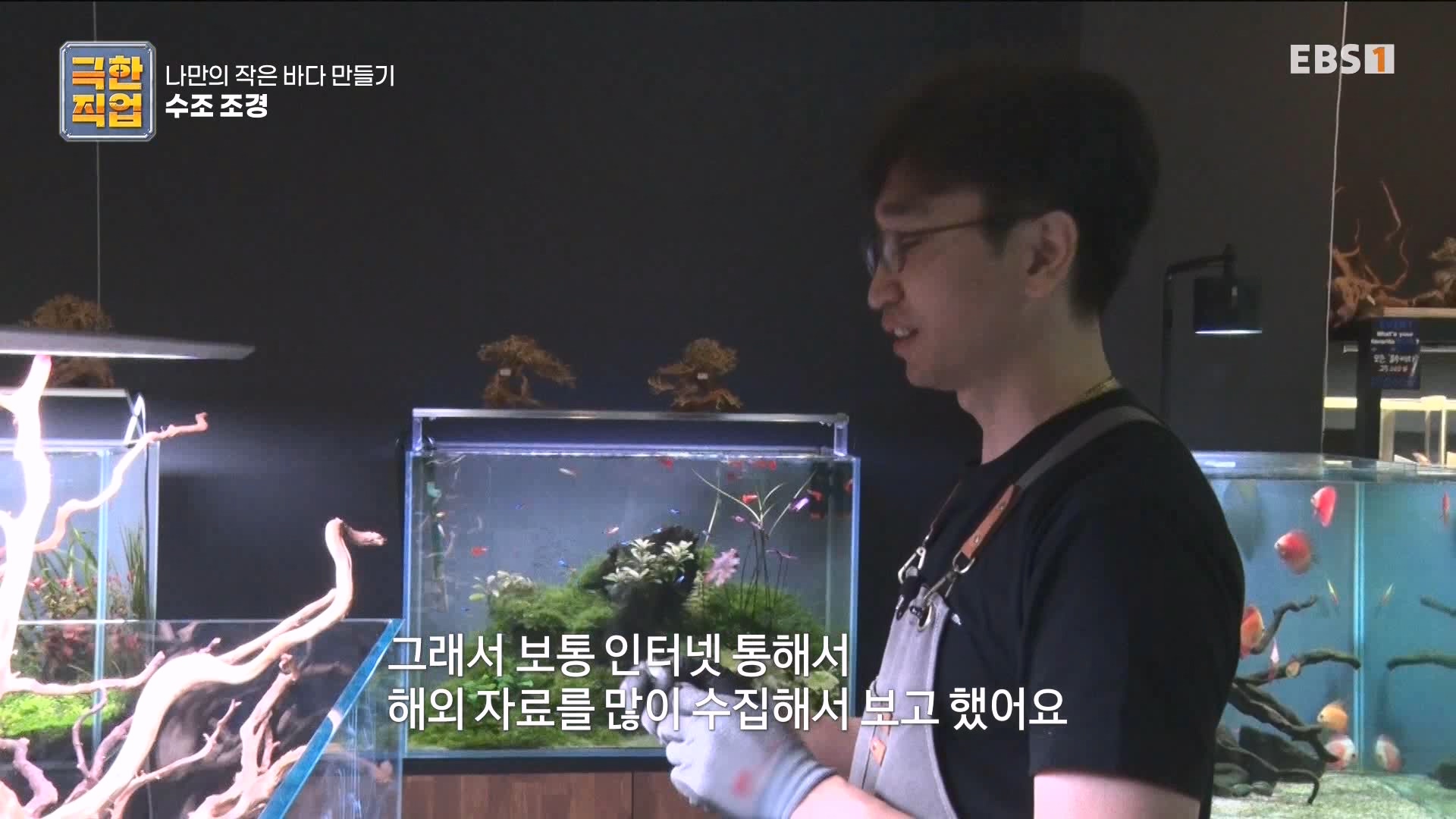 [극한 직업] 수조 조경.mp4_20230822_204226.556.jpg